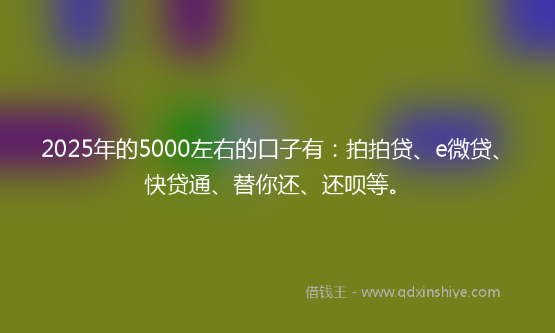 2025年的5000左右的口子有:拍拍贷、e微贷、快贷通、替你还、还呗等。