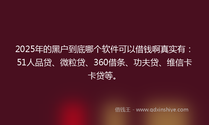 2025年的黑户到底哪个软件可以借钱啊真实有:51人品贷、微粒贷、360借条、功夫贷、维信卡卡贷等。
