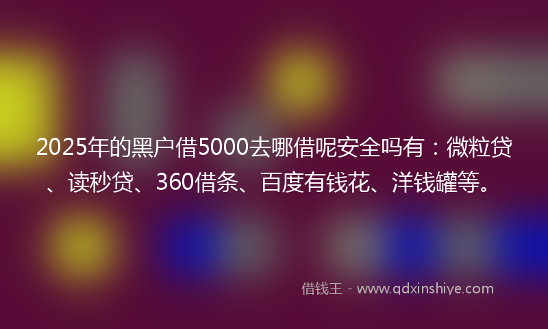 2025年的黑户借5000去哪借呢安全吗有：微粒贷、读秒贷、360借条、百度有钱花、洋钱罐等。