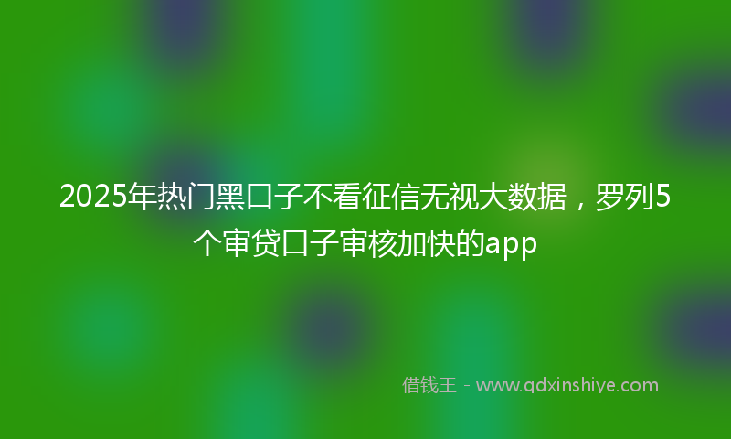 2025年热门黑口子不看征信无视大数据，罗列5个审贷口子审核加快的app