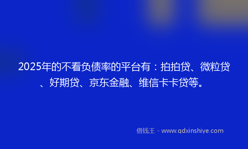 2025年的不看负债率的平台有：拍拍贷、微粒贷、好期贷、京东金融、维信卡卡贷等。