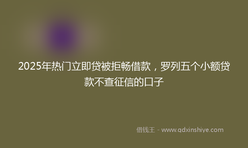 2025年热门立即贷被拒畅借款，罗列五个小额贷款不查征信的口子