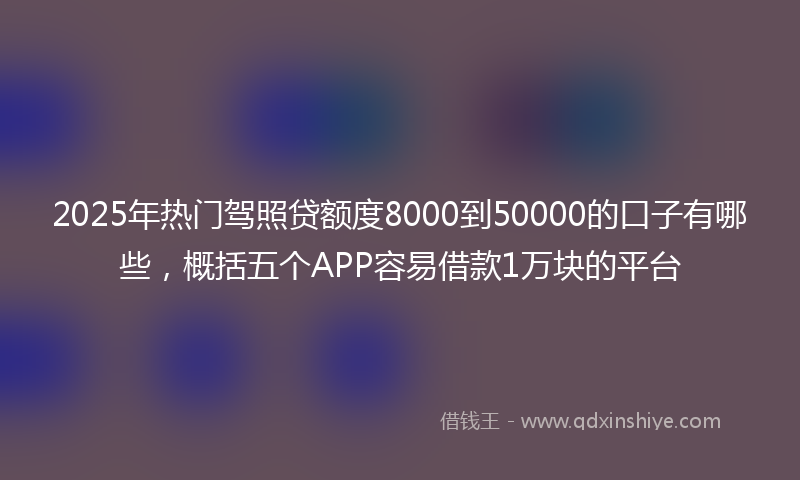 2025年热门驾照贷额度8000到50000的口子有哪些，概括五个APP容易借款1万块的平台