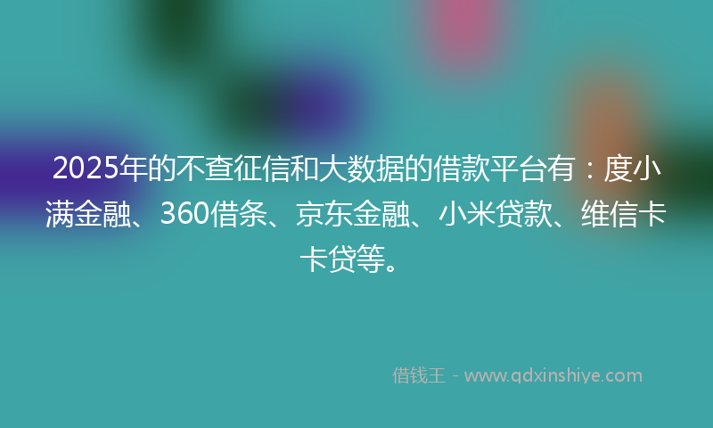 2025年的不查征信和大数据的借款平台有：度小满金融、360借条、京东金融、小米贷款、维信卡卡贷等。