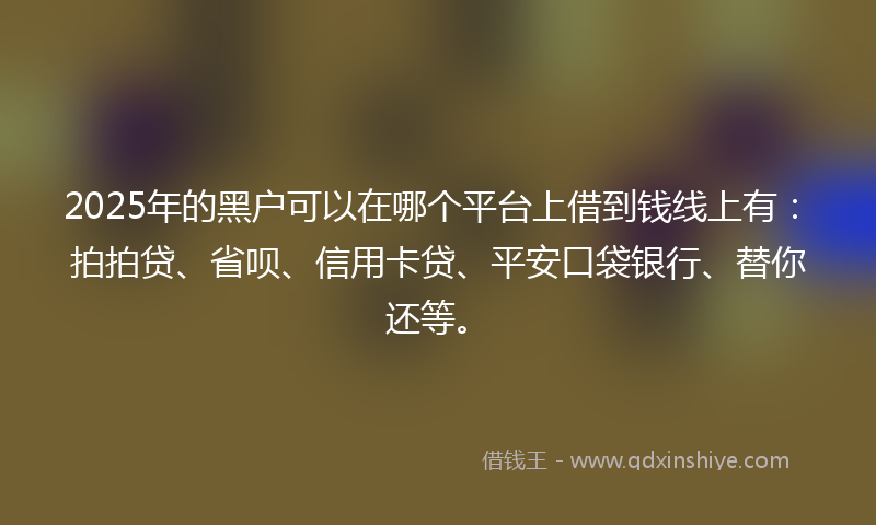 2025年的黑户可以在哪个平台上借到钱线上有：拍拍贷、省呗、信用卡贷、平安口袋银行、替你还等。