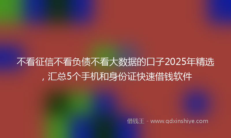 不看征信不看负债不看大数据的口子2025年精选，汇总5个手机和身份证快速借钱软件