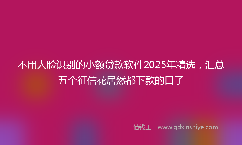 不用人脸识别的小额贷款软件2025年精选，汇总五个征信花居然都下款的口子