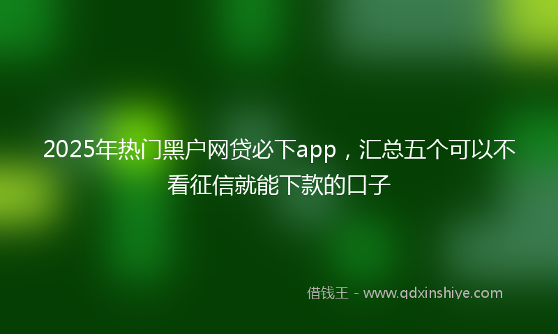 2025年热门黑户网贷必下app，汇总五个可以不看征信就能下款的口子
