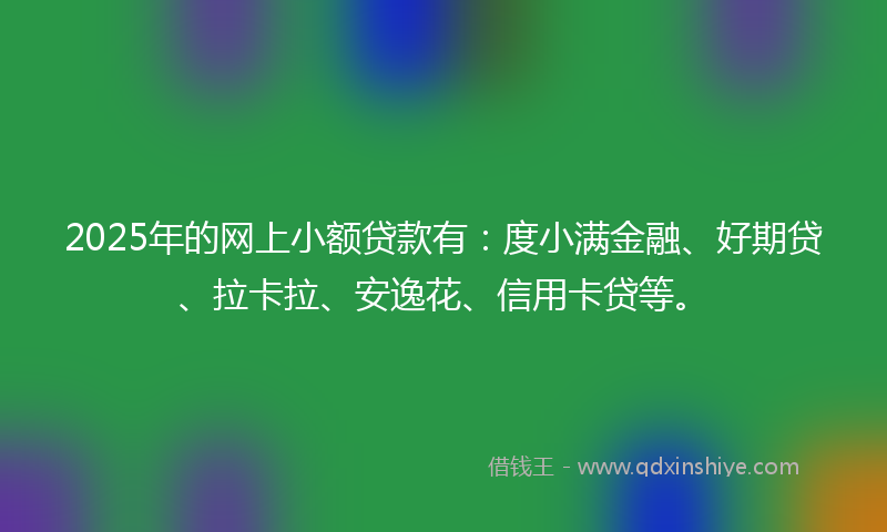 2025年的网上小额贷款有：度小满金融、好期贷、拉卡拉、安逸花、信用卡贷等。