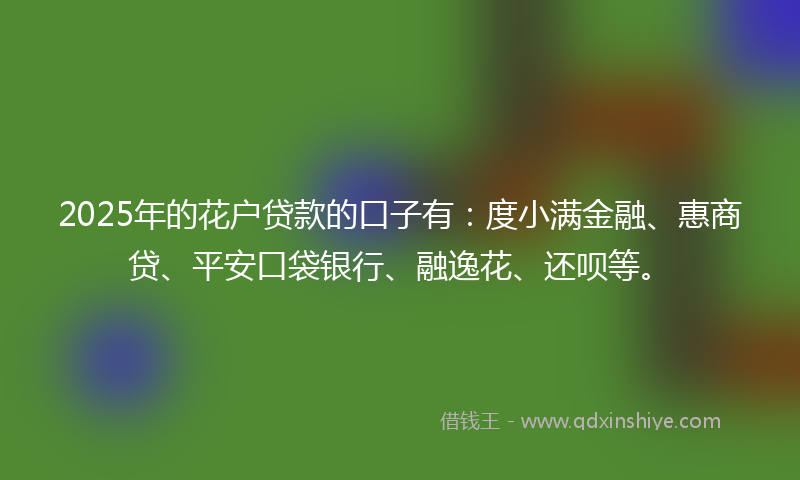 2025年的花户贷款的口子有：度小满金融、惠商贷、平安口袋银行、融逸花、还呗等。