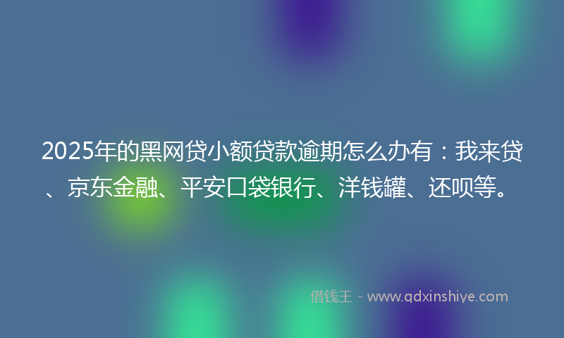 2025年的黑网贷小额贷款逾期怎么办有：我来贷、京东金融、平安口袋银行、洋钱罐、还呗等。