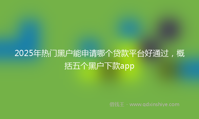 2025年热门黑户能申请哪个贷款平台好通过,概括五个黑户下款app