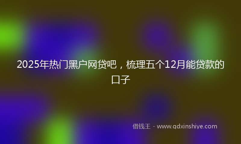 2025年热门黑户网贷吧，梳理五个12月能贷款的口子