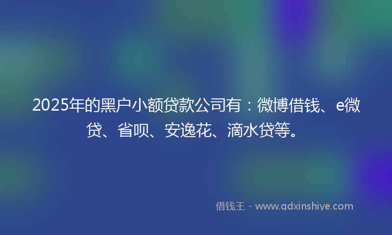 2025年的黑户小额贷款公司有：微博借钱、e微贷、省呗、安逸花、滴水贷等。