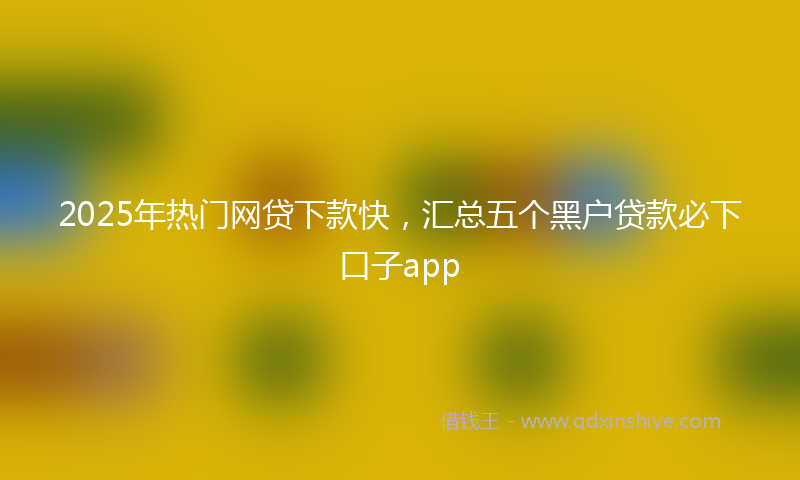 2025年热门网贷下款快，汇总五个黑户贷款必下口子app