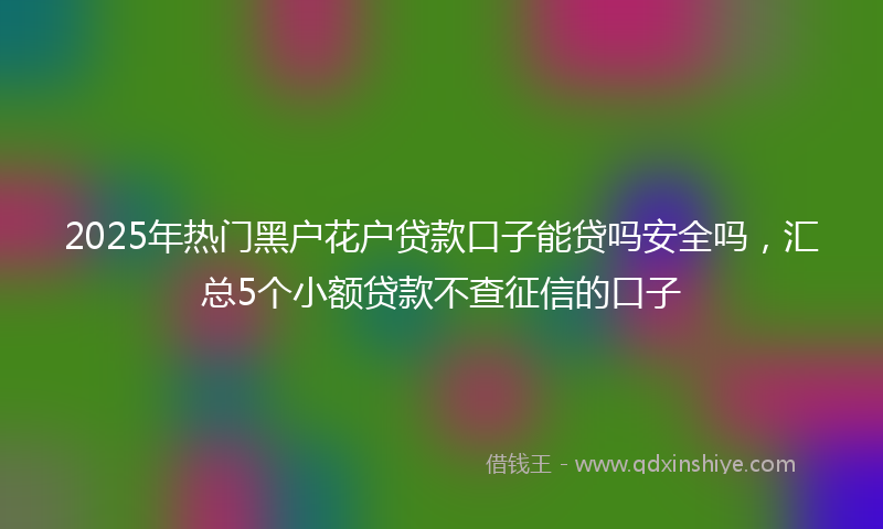 2025年热门黑户花户贷款口子能贷吗安全吗，汇总5个小额贷款不查征信的口子