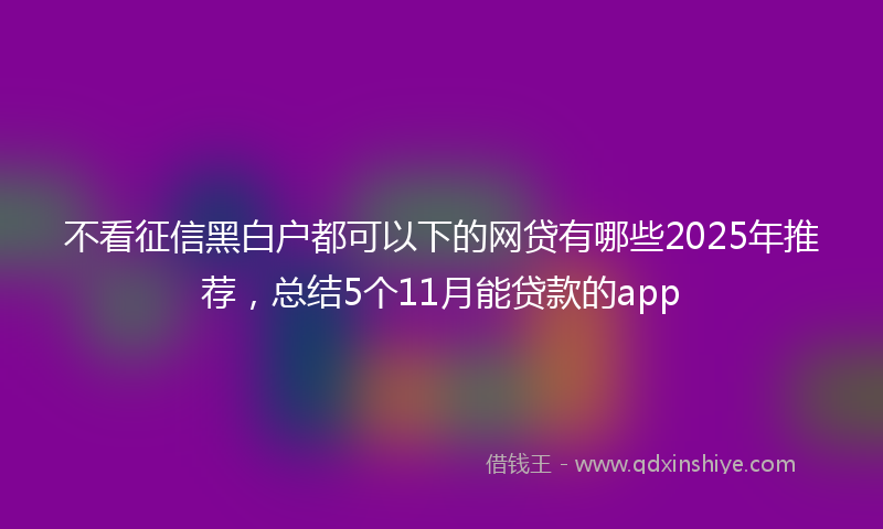 不看征信黑白户都可以下的网贷有哪些2025年推荐，总结5个11月能贷款的app