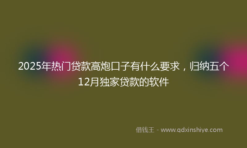 2025年热门贷款高炮口子有什么要求，归纳五个12月独家贷款的软件