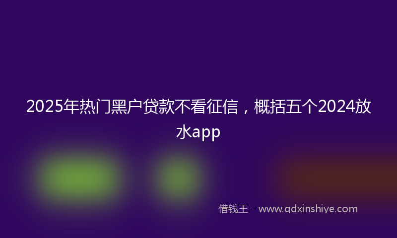 2025年热门黑户贷款不看征信，概括五个2024放水app