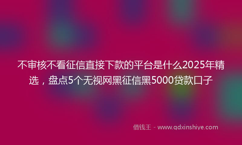 不审核不看征信直接下款的平台是什么2025年精选，盘点5个无视网黑征信黑5000贷款口子
