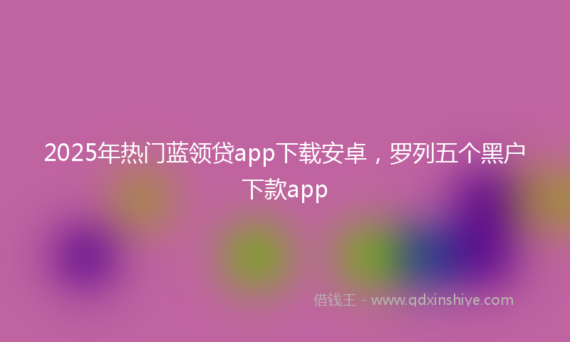 2025年热门蓝领贷app下载安卓，罗列五个黑户下款app