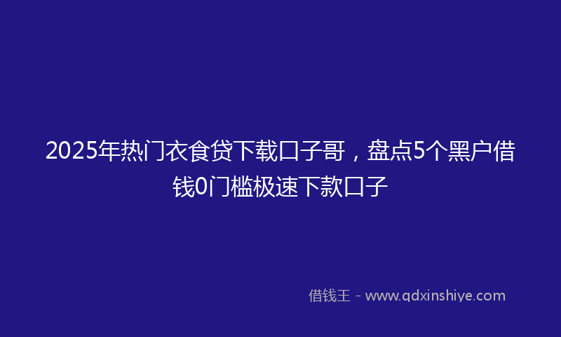 2025年热门衣食贷下载口子哥，盘点5个黑户借钱0门槛极速下款口子