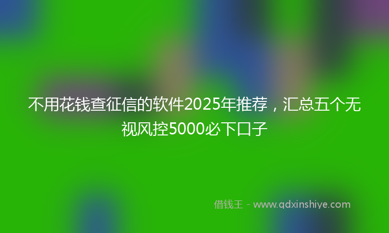 不用花钱查征信的软件2025年推荐，汇总五个无视风控5000必下口子