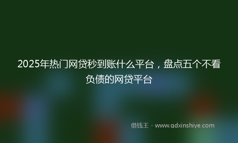2025年热门网贷秒到账什么平台，盘点五个不看负债的网贷平台