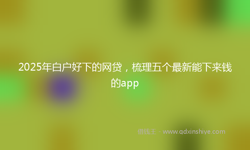 2025年白户好下的网贷，梳理五个最新能下来钱的app