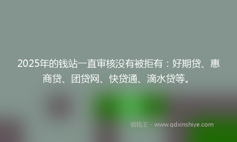 2025年的钱站一直审核没有被拒有：好期贷、惠商贷、团贷网、快贷通、滴水贷等。