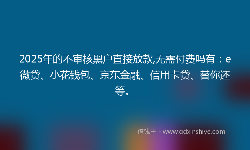 2025年的不审核黑户直接放款,无需付费吗有：e微贷、小花钱包、京东金融、信用卡贷、替你还等。