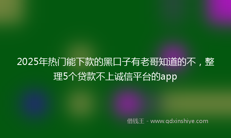 2025年热门能下款的黑口子有老哥知道的不，整理5个贷款不上诚信平台的app