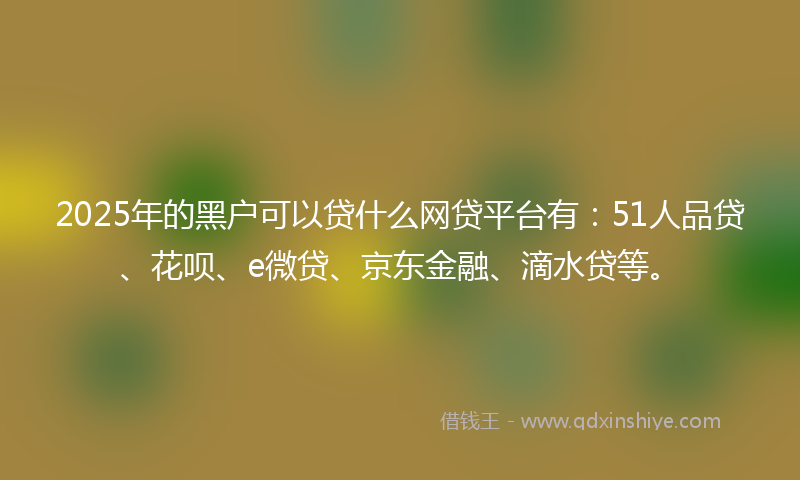 2025年的黑户可以贷什么网贷平台有：51人品贷、花呗、e微贷、京东金融、滴水贷等。