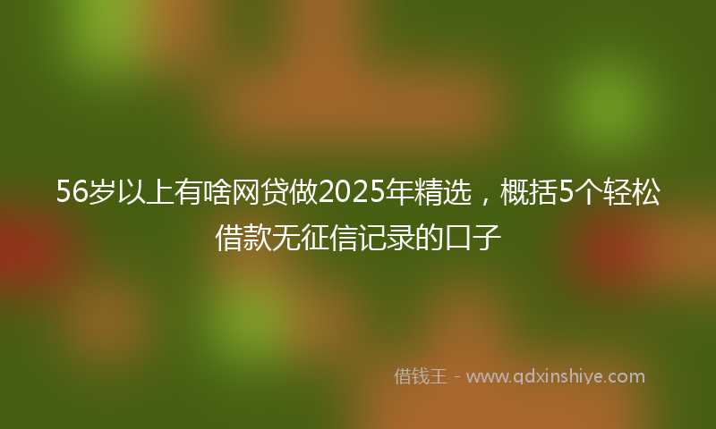 56岁以上有啥网贷做2025年精选，概括5个轻松借款无征信记录的口子