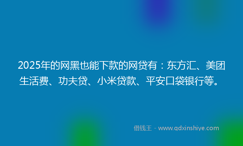 2025年的网黑也能下款的网贷有：东方汇、美团生活费、功夫贷、小米贷款、平安口袋银行等。