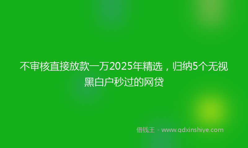 不审核直接放款一万2025年精选，归纳5个无视黑白户秒过的网贷