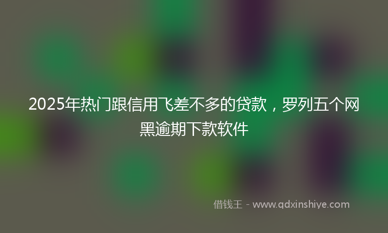 2025年热门跟信用飞差不多的贷款，罗列五个网黑逾期下款软件