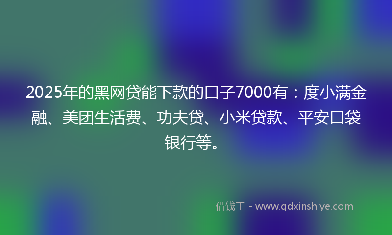 2025年的黑网贷能下款的口子7000有：度小满金融、美团生活费、功夫贷、小米贷款、平安口袋银行等。