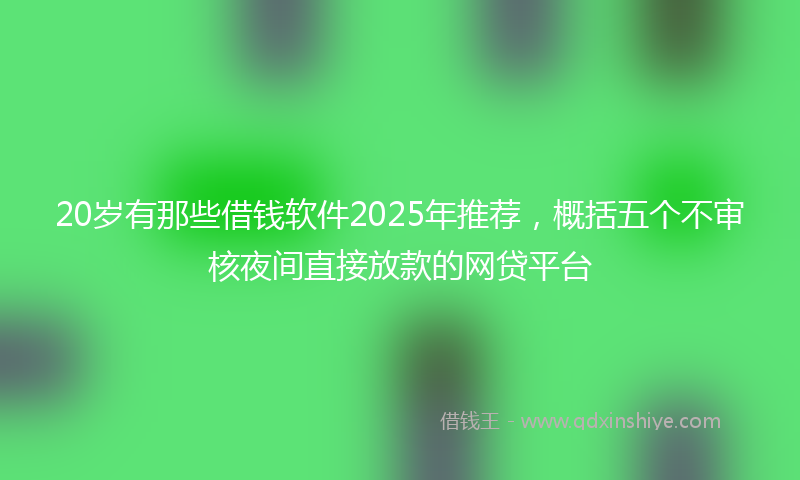 20岁有那些借钱软件2025年推荐，概括五个不审核夜间直接放款的网贷平台