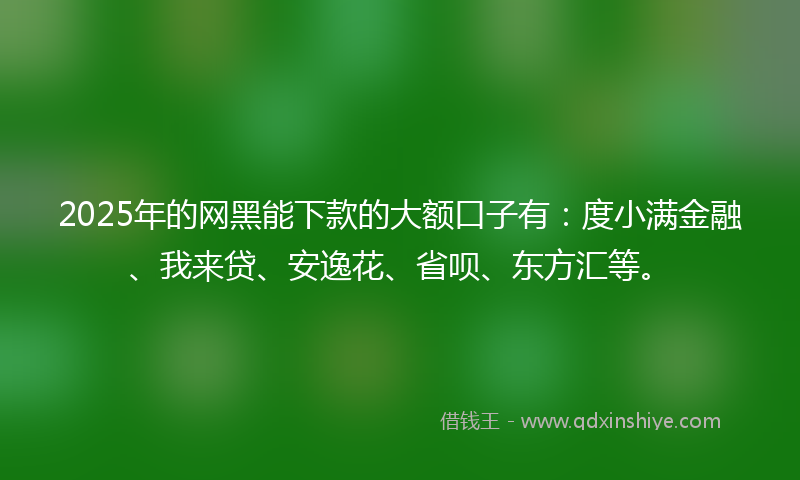 2025年的网黑能下款的大额口子有：度小满金融、我来贷、安逸花、省呗、东方汇等。
