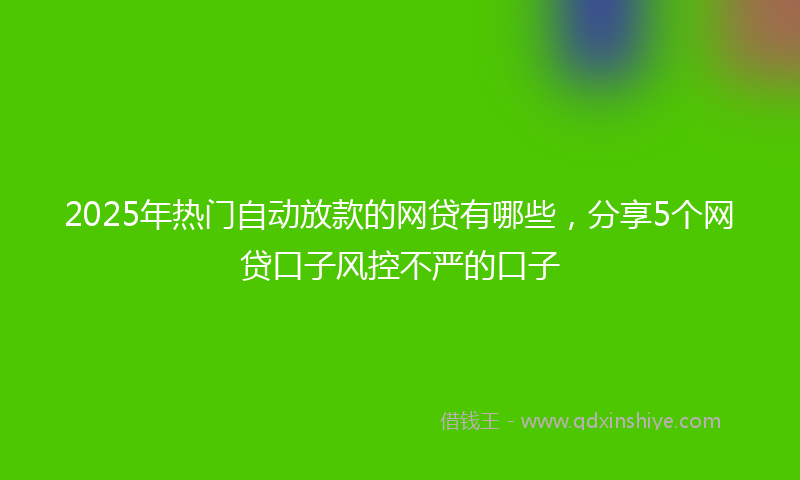 2025年热门自动放款的网贷有哪些，分享5个网贷口子风控不严的口子