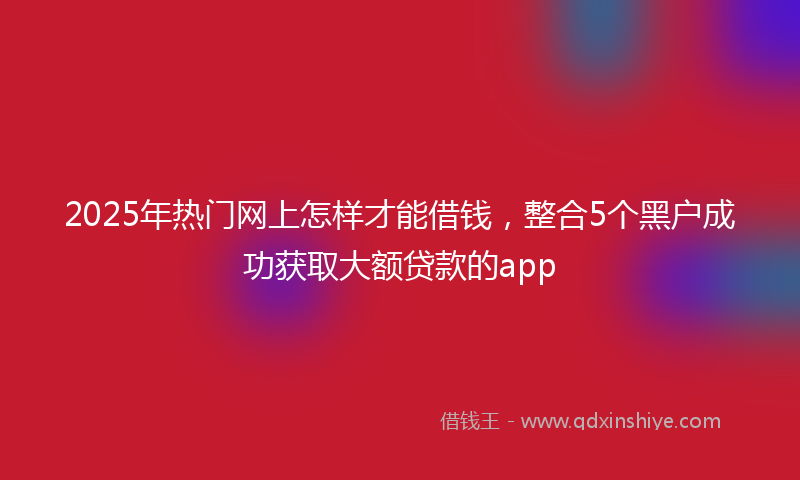 2025年热门网上怎样才能借钱，整合5个黑户成功获取大额贷款的app