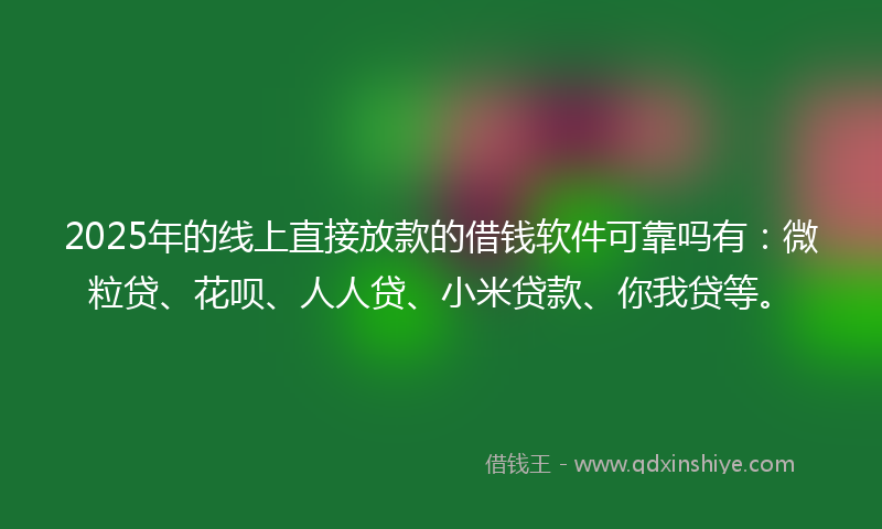 2025年的线上直接放款的借钱软件可靠吗有：微粒贷、花呗、人人贷、小米贷款、你我贷等。