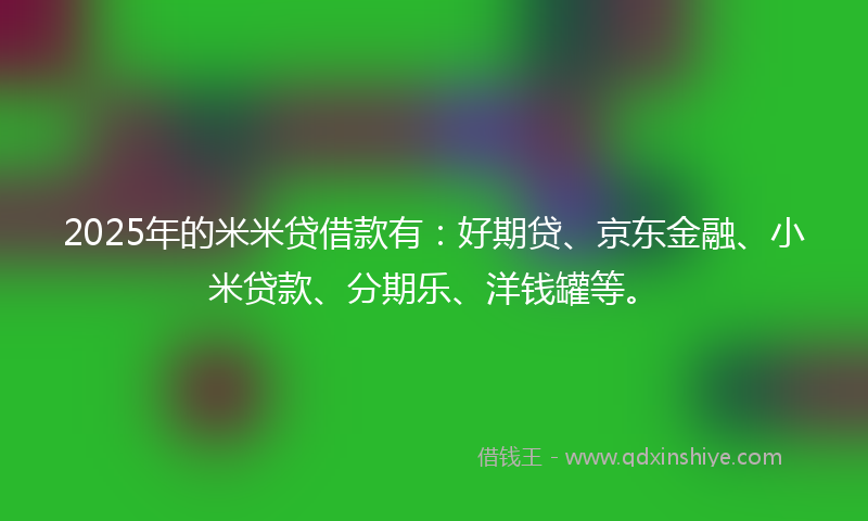 2025年的米米贷借款有：好期贷、京东金融、小米贷款、分期乐、洋钱罐等。