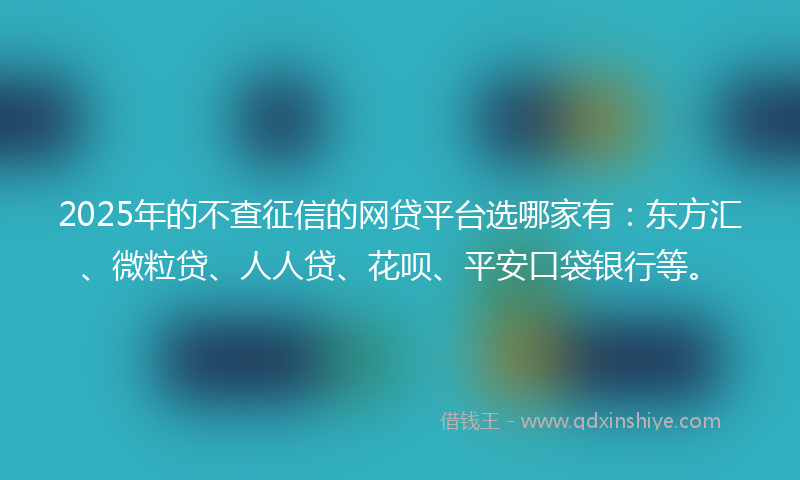 2025年的不查征信的网贷平台选哪家有：东方汇、微粒贷、人人贷、花呗、平安口袋银行等。