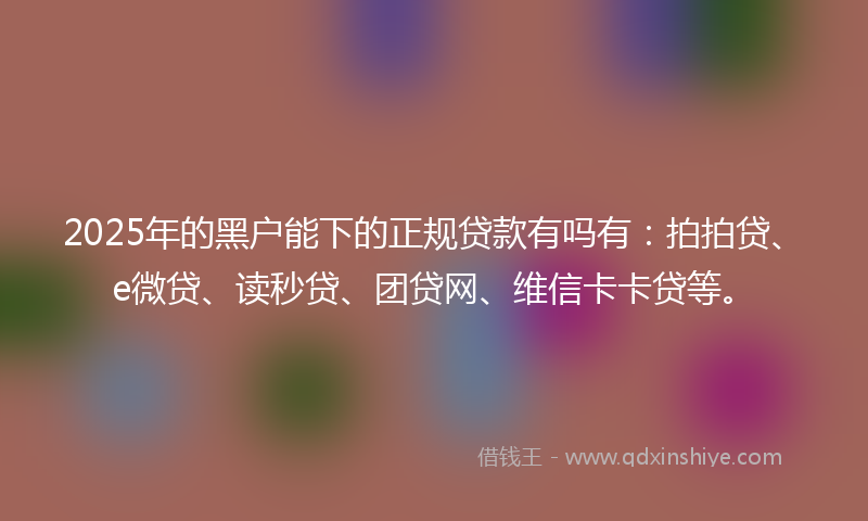 2025年的黑户能下的正规贷款有吗有：拍拍贷、e微贷、读秒贷、团贷网、维信卡卡贷等。
