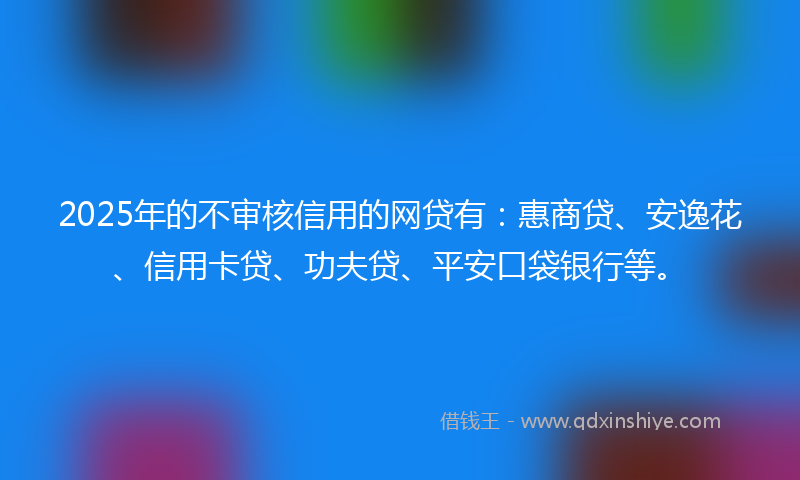 2025年的不审核信用的网贷有：惠商贷、安逸花、信用卡贷、功夫贷、平安口袋银行等。