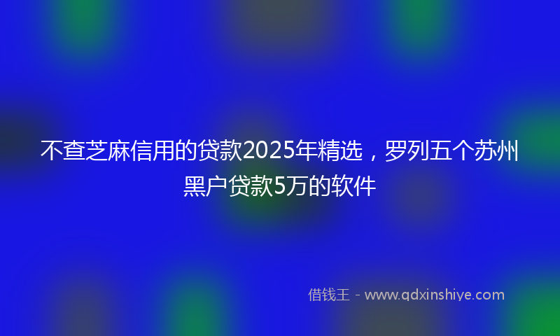 不查芝麻信用的贷款2025年精选，罗列五个苏州黑户贷款5万的软件