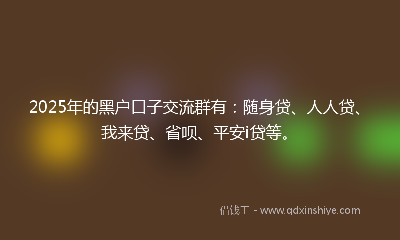 2025年的黑户口子交流群有：随身贷、人人贷、我来贷、省呗、平安i贷等。