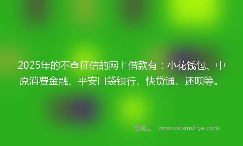 2025年的不查征信的网上借款有：小花钱包、中原消费金融、平安口袋银行、快贷通、还呗等。